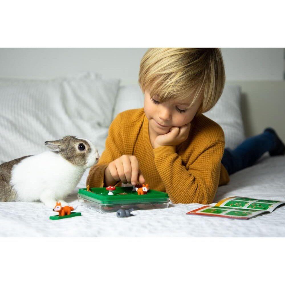 Smart Games - Hares and Foxes