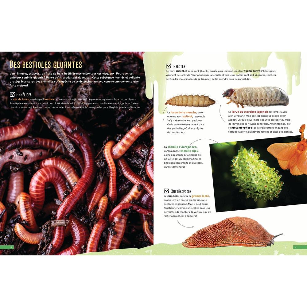 Bugs and Critters