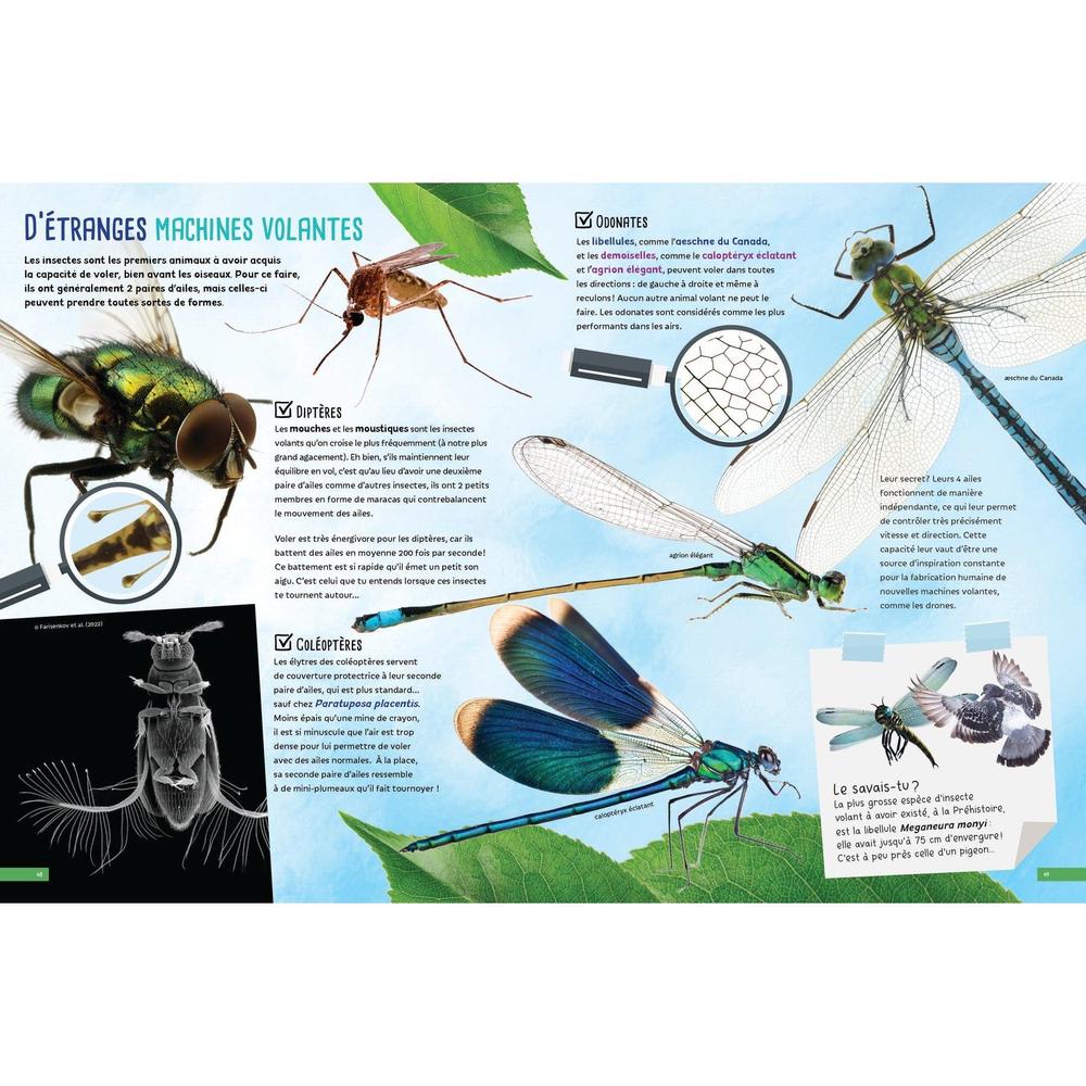 Bugs and Critters