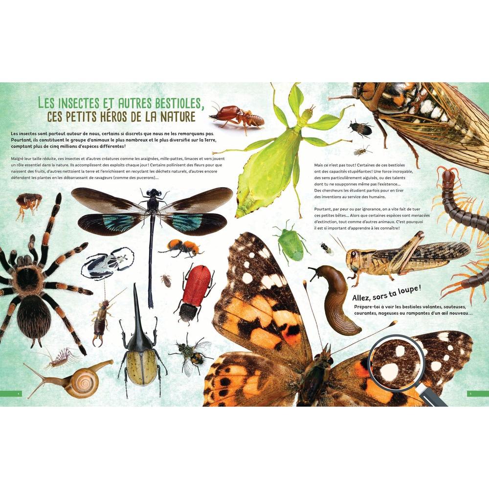 Bugs and Critters