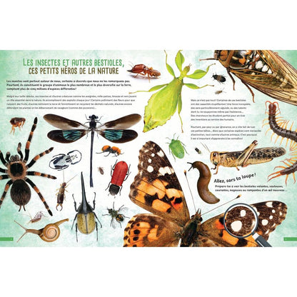 Bugs and Critters