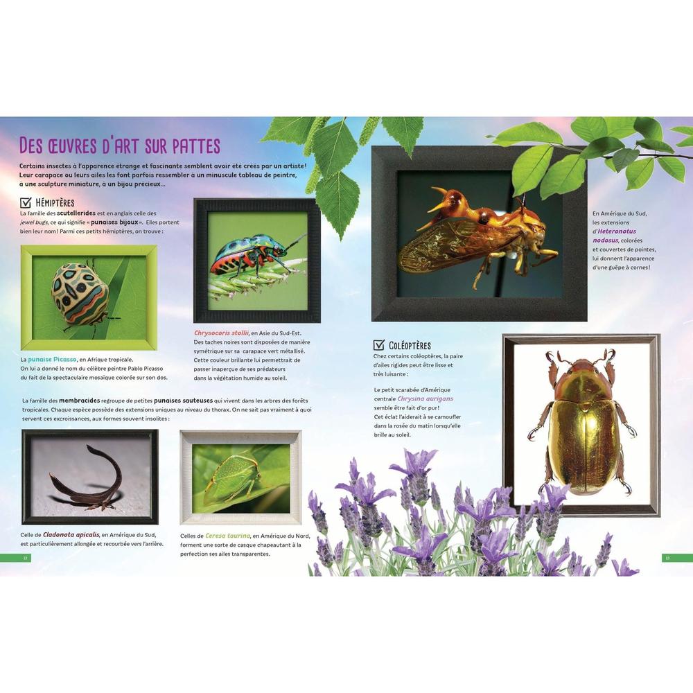 Bugs and Critters