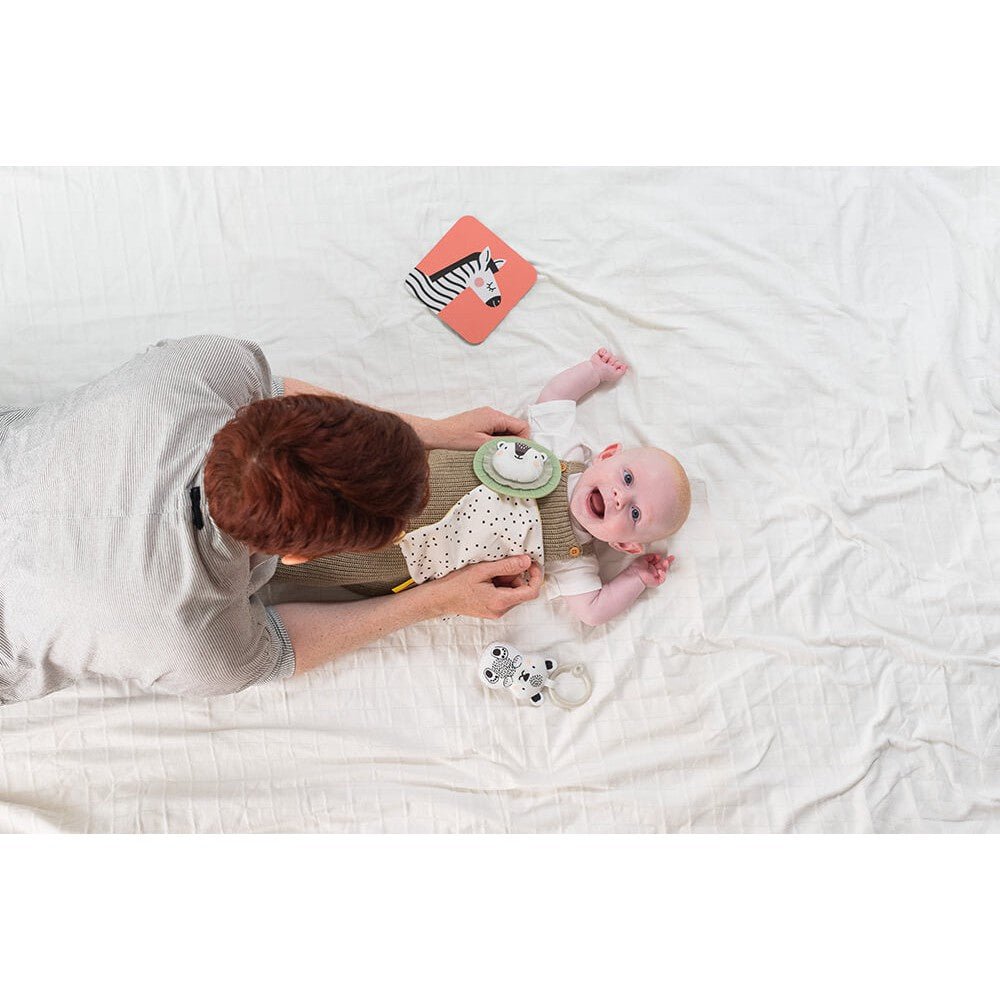 New Parent Starter Set (12 Items)