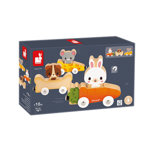 Magnetic Pet Race