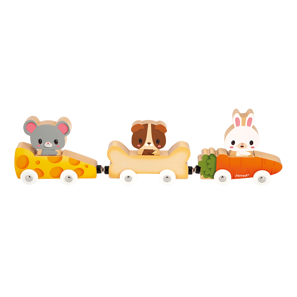 Magnetic Pet Race