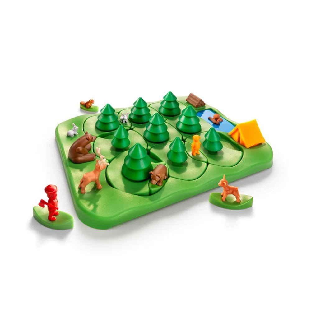 Bear Park in the Forest