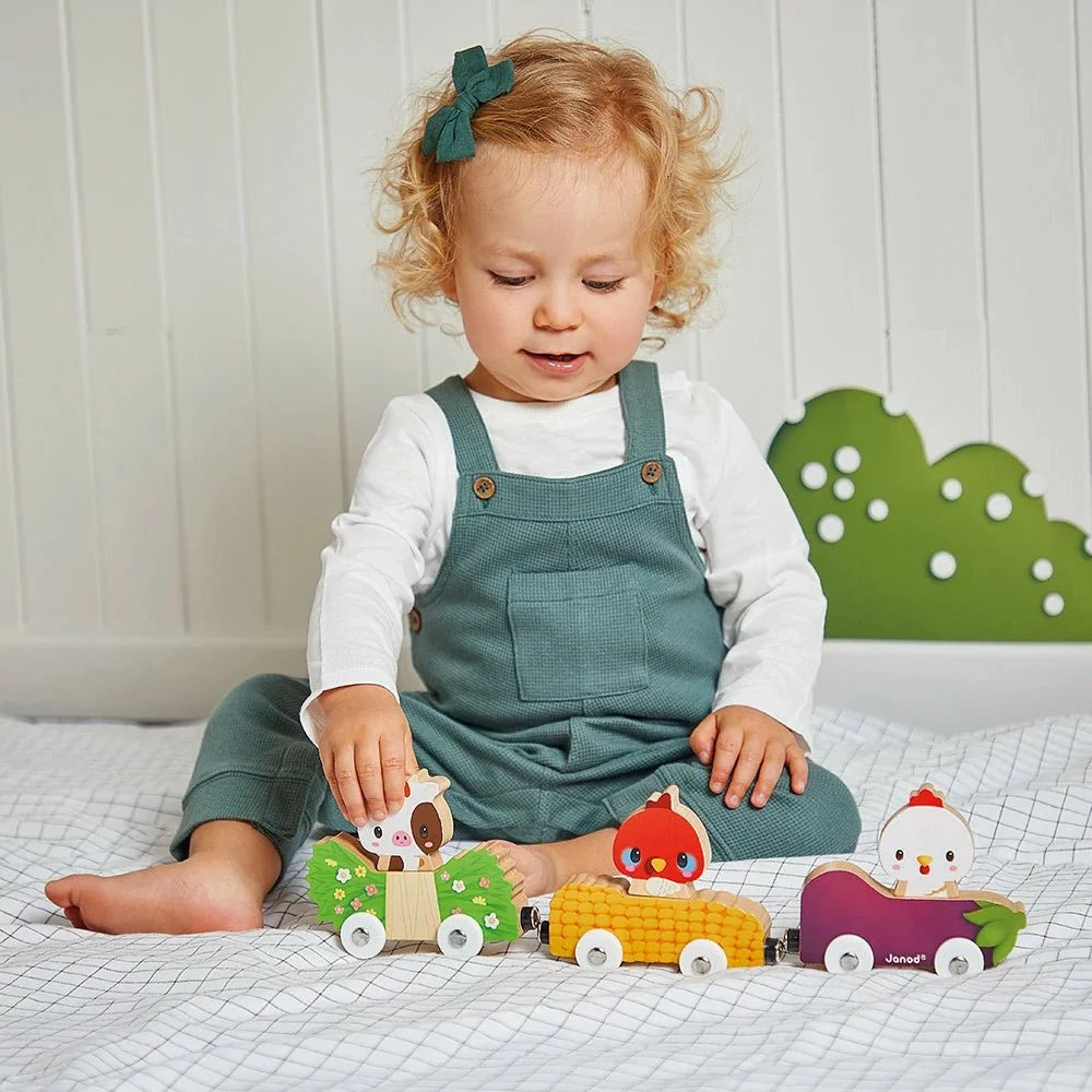 Magnetic Pet Race