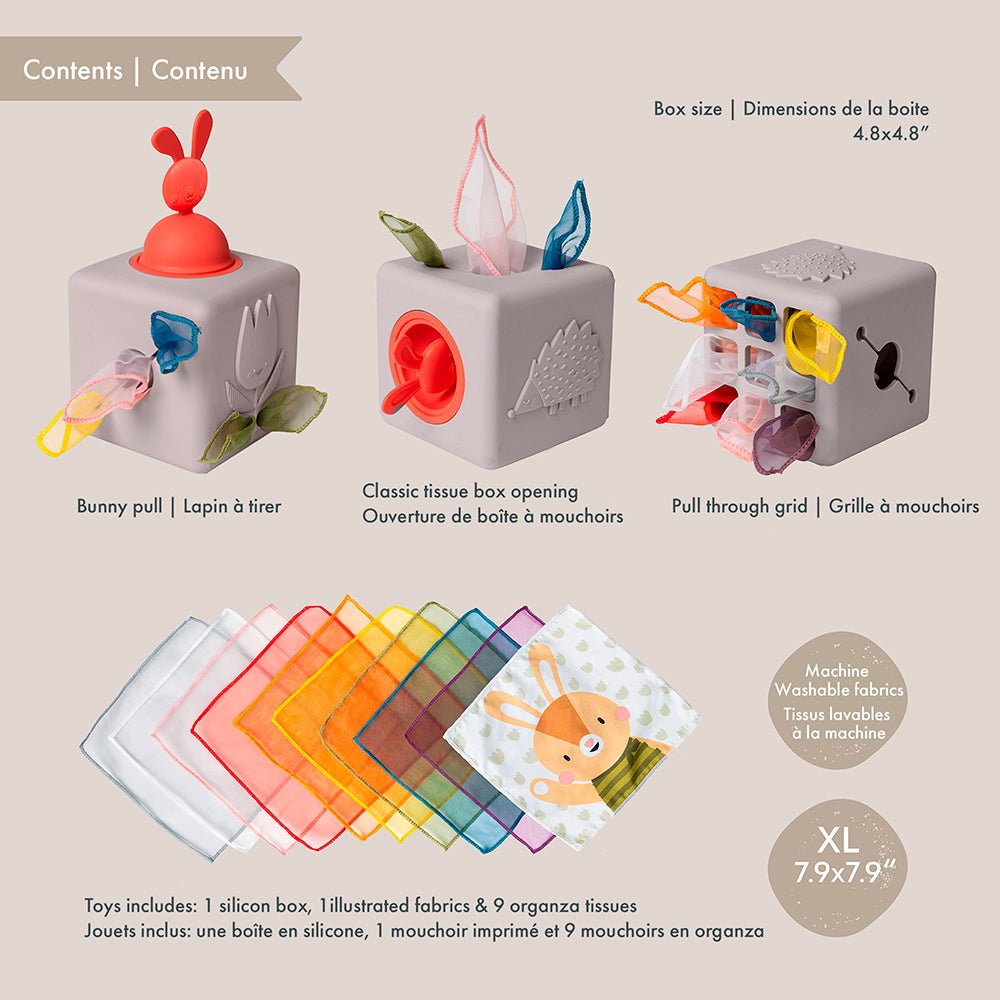 Pop-Up Tissue Box Toy