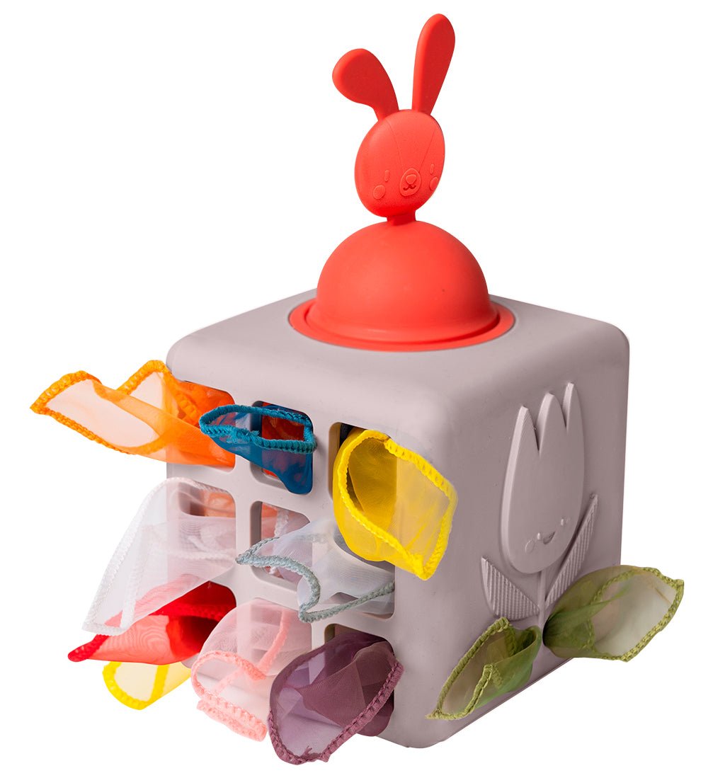 Pop-Up Tissue Box Toy