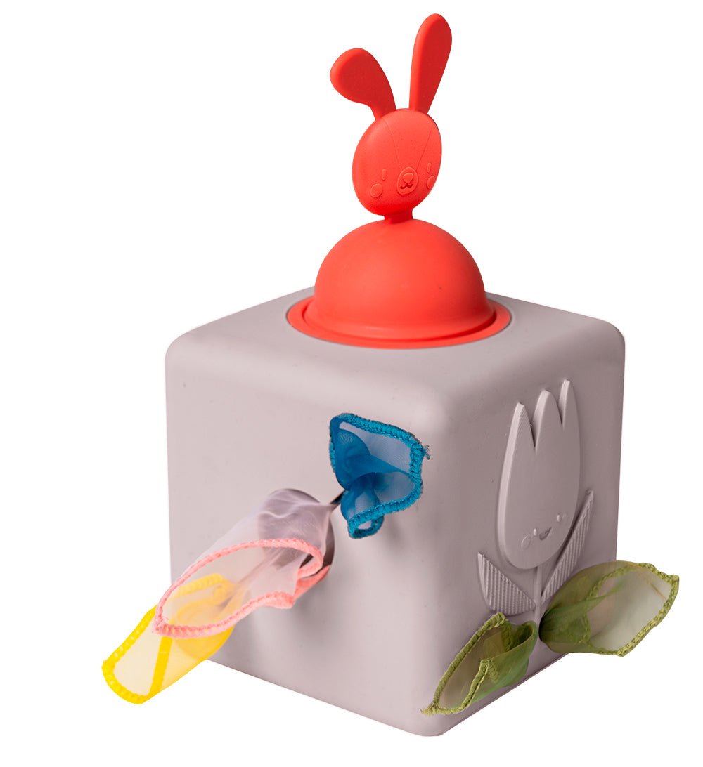 Pop-Up Tissue Box Toy