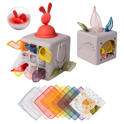 Pop-Up Tissue Box Toy