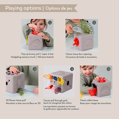 Pop-Up Tissue Box Toy