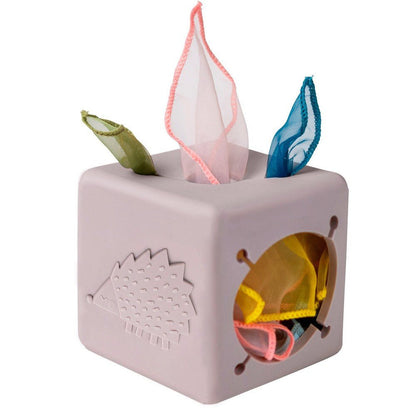 Pop-Up Tissue Box Toy