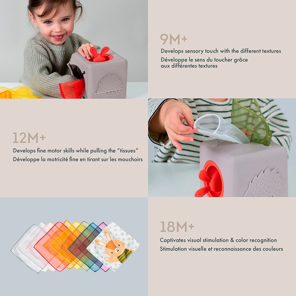 Pop-Up Tissue Box Toy
