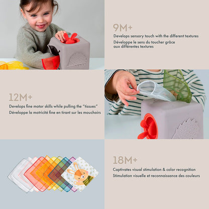 Pop-Up Tissue Box Toy