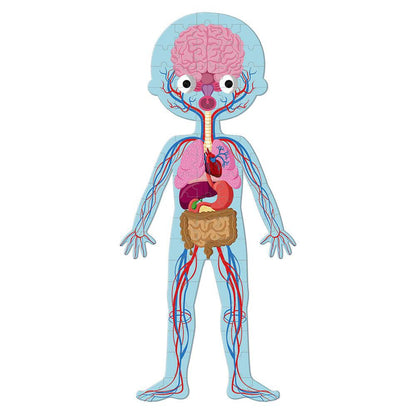 Human Body Puzzle