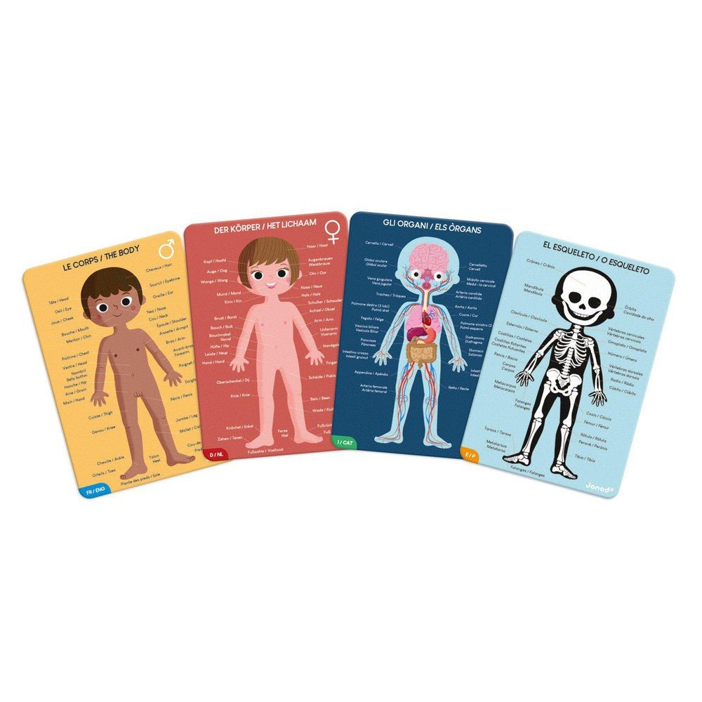 Human Body Puzzle