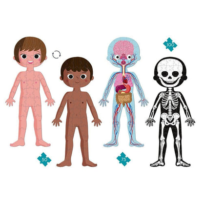 Human Body Puzzle