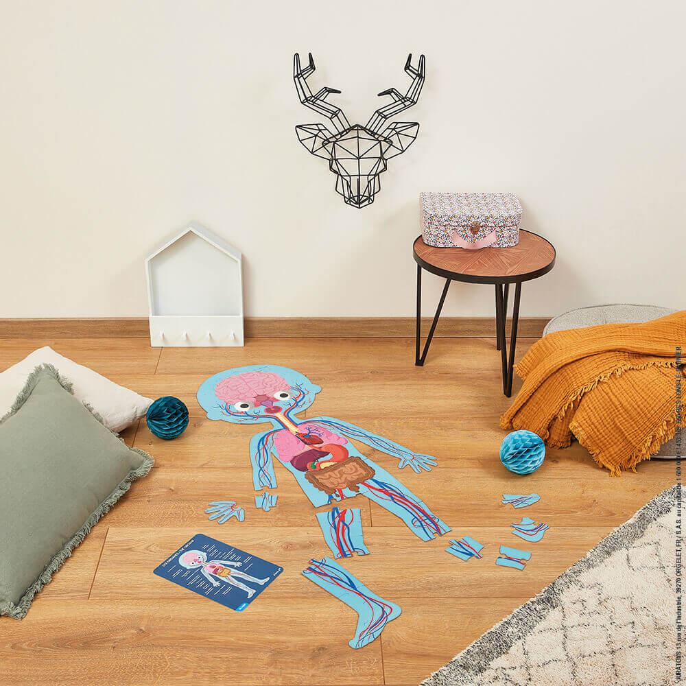 Human Body Puzzle