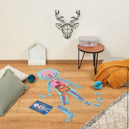 Human Body Puzzle
