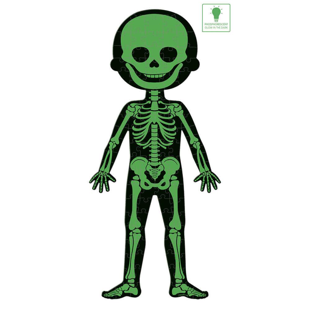 Human Body Puzzle