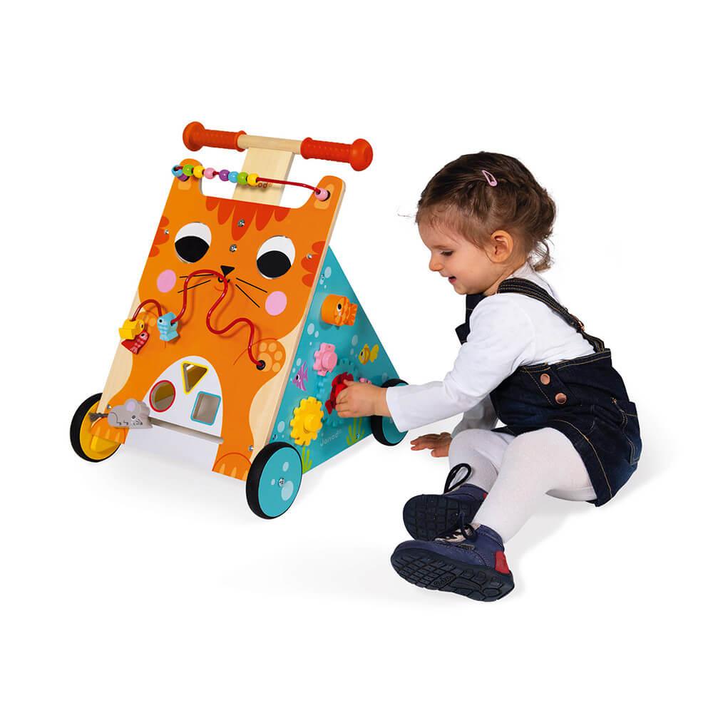 I Learn to Walk - Cat Multi-Activity Walker