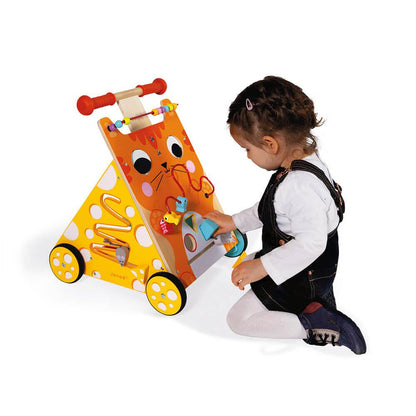 I Learn to Walk - Cat Multi-Activity Walker