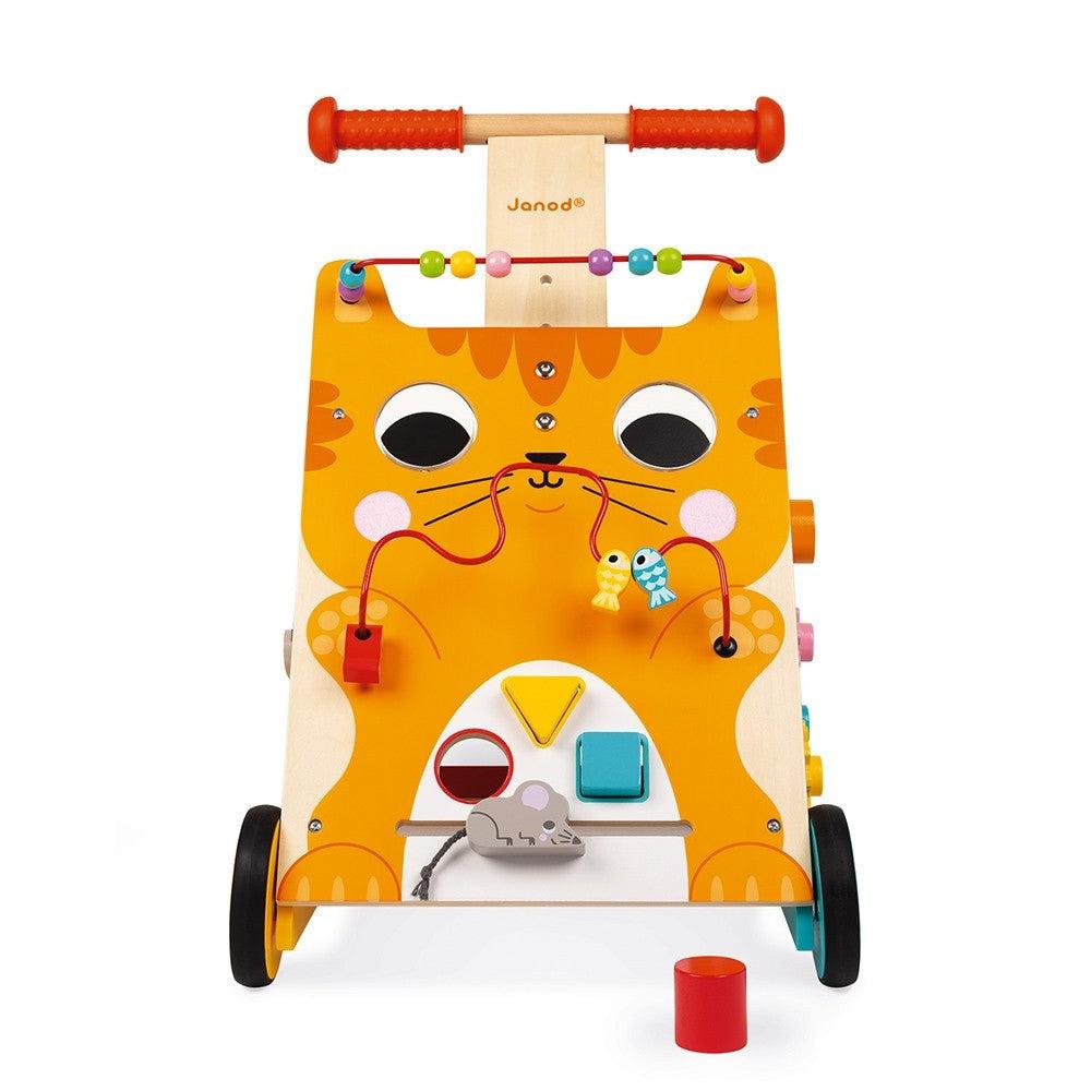 I Learn to Walk - Cat Multi-Activity Walker