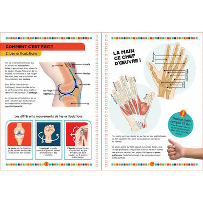 The Human Body Book