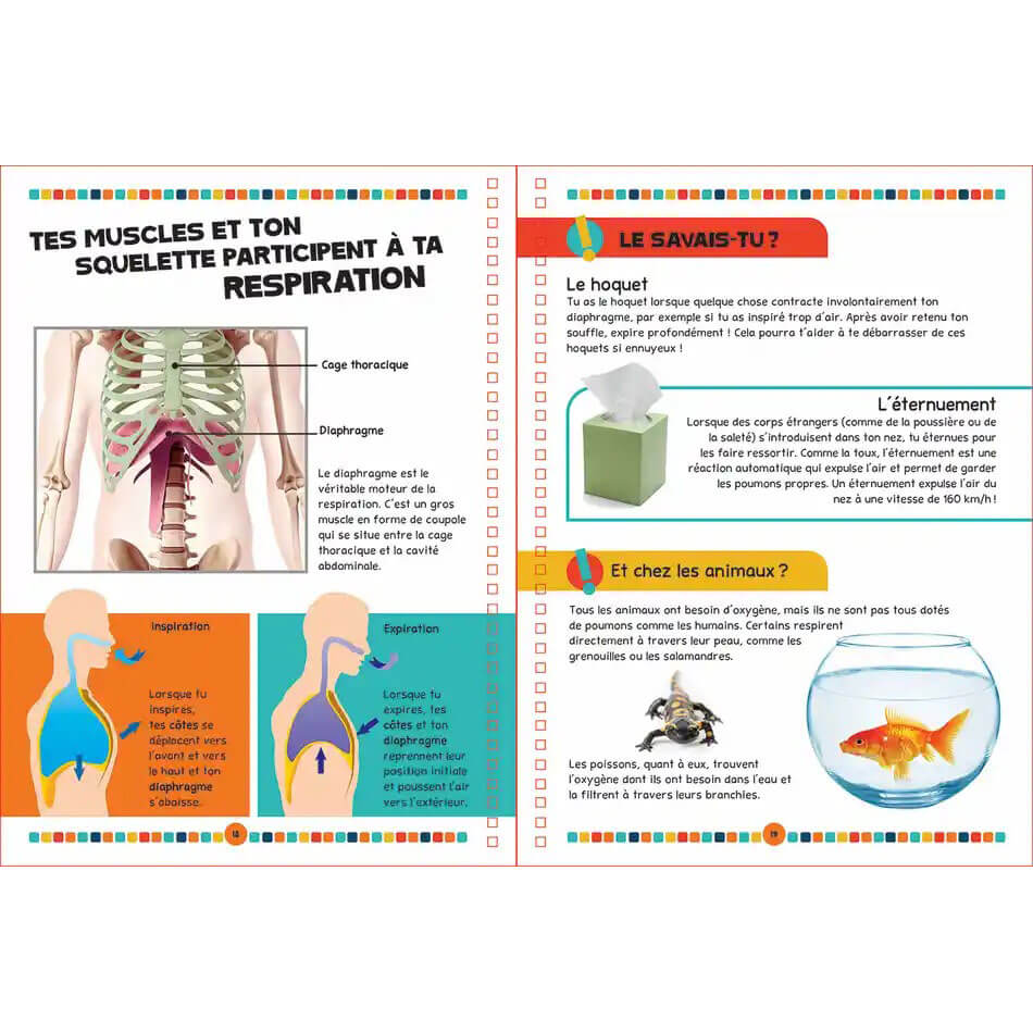 The Human Body Book