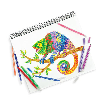 Switch-eroo Color-Changing Markers (Set of 12)