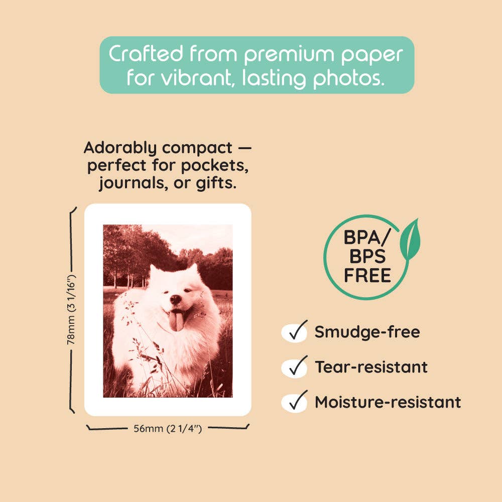 120-Print Pack for P2 Camera - Kiimento