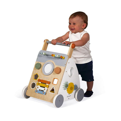 Sweet Cocoon Multi-Activity Walker