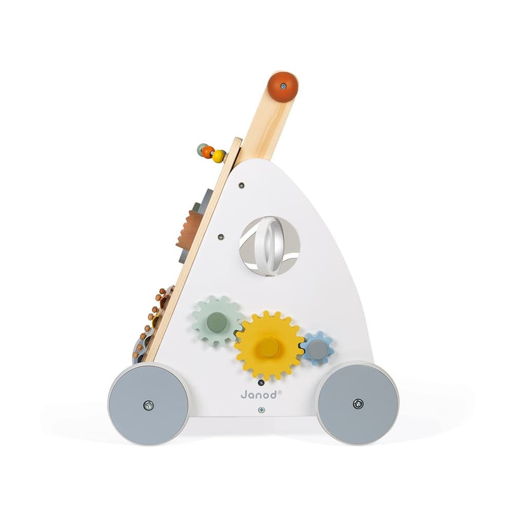 Sweet Cocoon Multi-Activity Walker