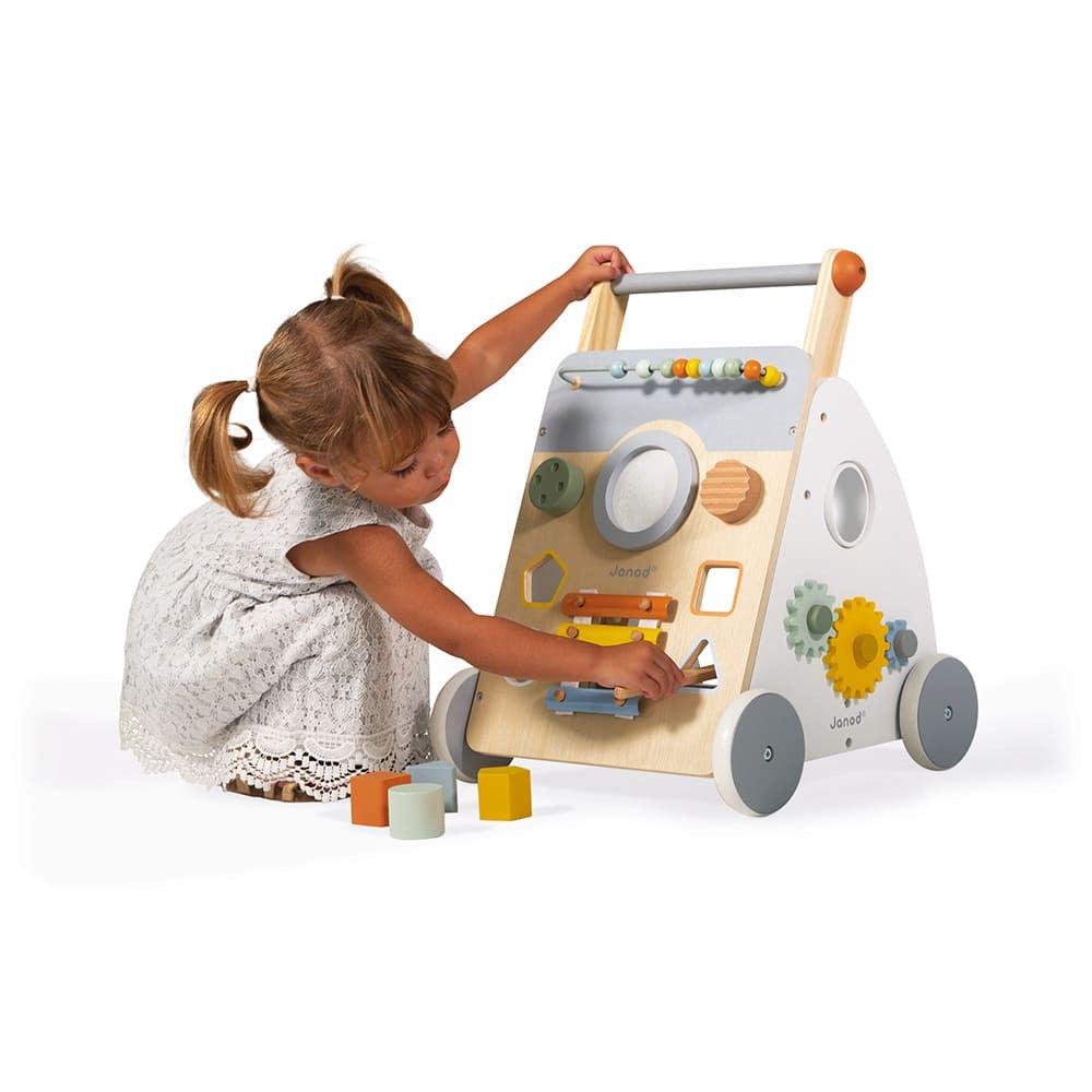 Sweet Cocoon Multi-Activity Walker