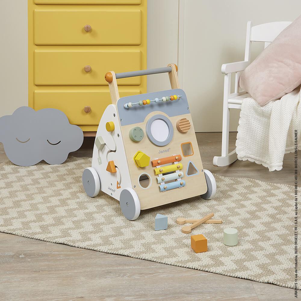 Sweet Cocoon Multi-Activity Walker